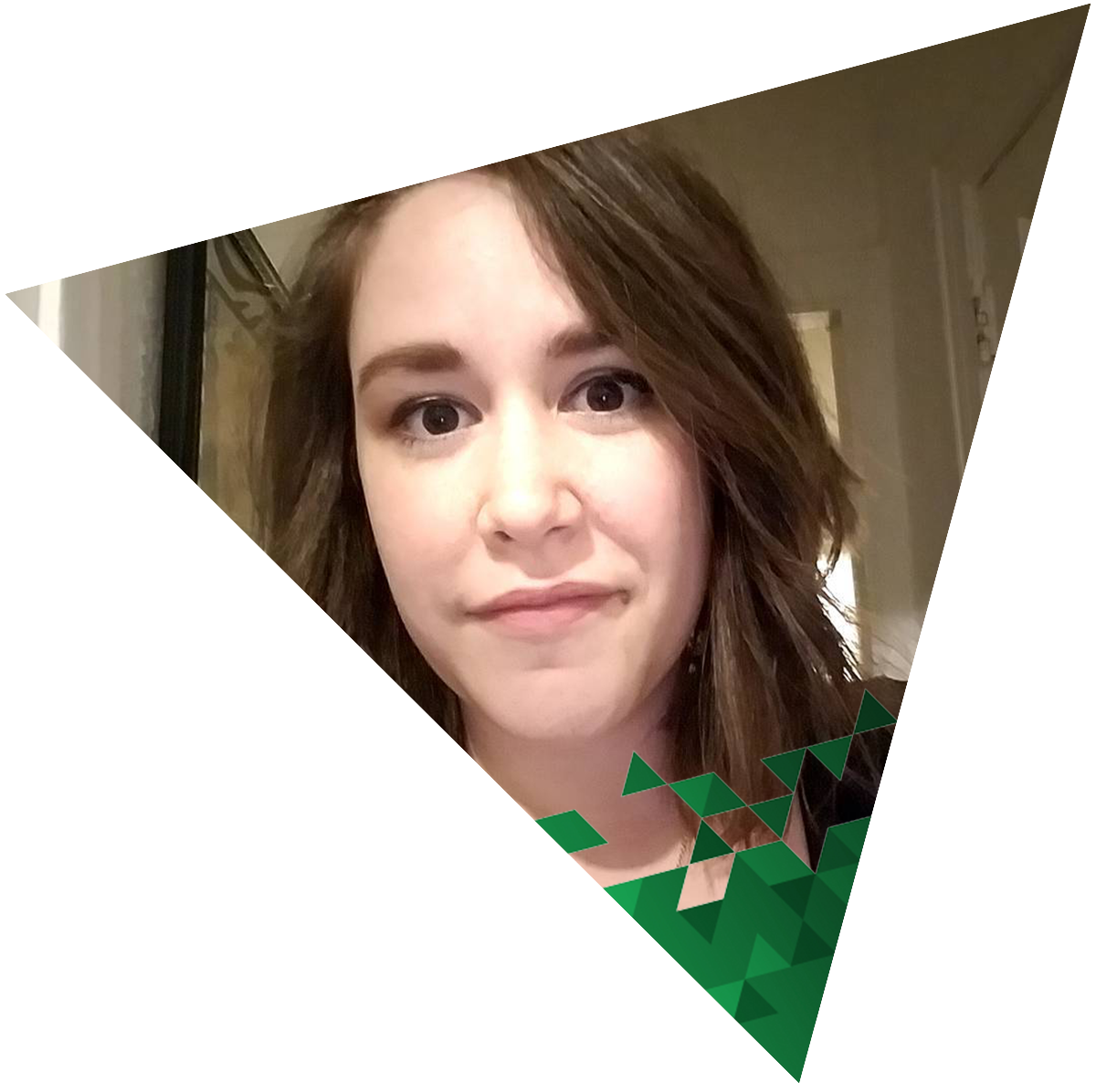 Nikki Castle an Advanced Programmer at Fine Mountain Consulting